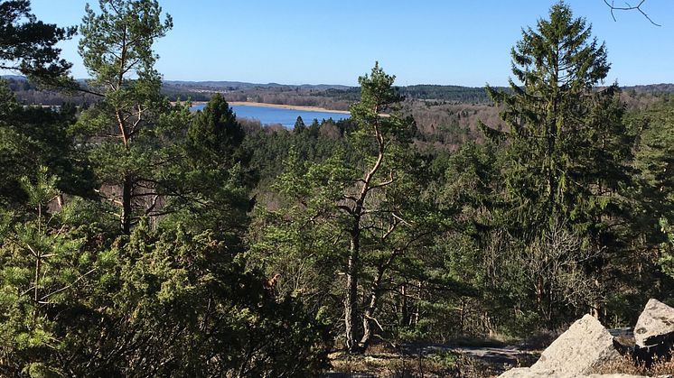 Utsikt över Hårssjön. Foto: Länsstyrelsen i Västra Götaland