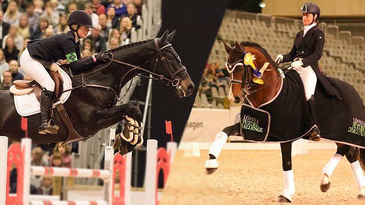Lövsta Future Challenge återvänder till Jönköping Horse Show