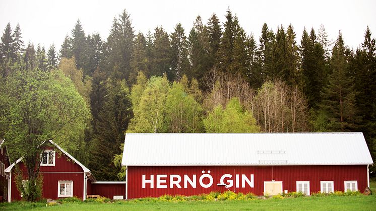 Hernö Gin ligger i en grönskande idyll i byn Dala utanför Härnösand. Årligen besöker tusentals besökare destilleriet för att uppleva platsen och ursprunget för Sveriges första renodlade gindestilleri.