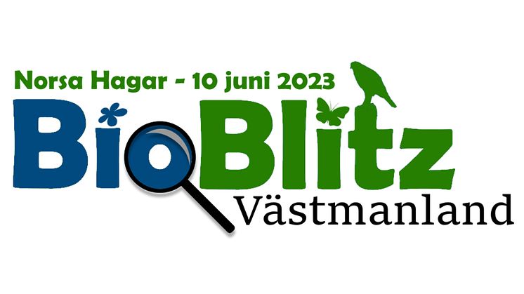 BioBlitz Västmanland 2023