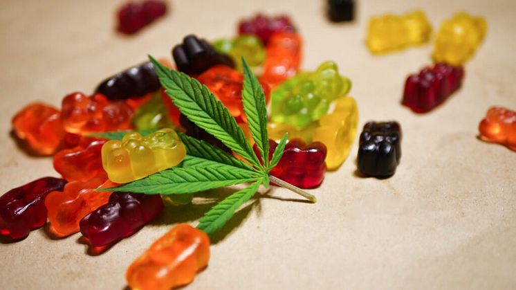Fun Drops CBD Gummies Reviews (Pain Relief) Does It Truly Work?