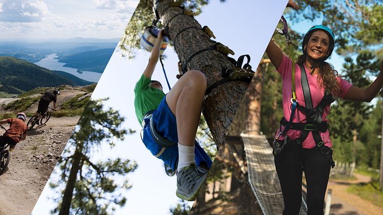 Sommer hos SkiStar Åre og Vemdalen: Ny klatrepark, trailcykling og panoramaudsigt på Åreskutan 360