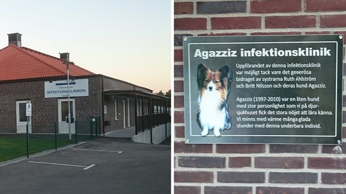 ​Hunden Agazzis ger namn åt ny avdelning på Evidensia Djursjukhuset Helsingborg