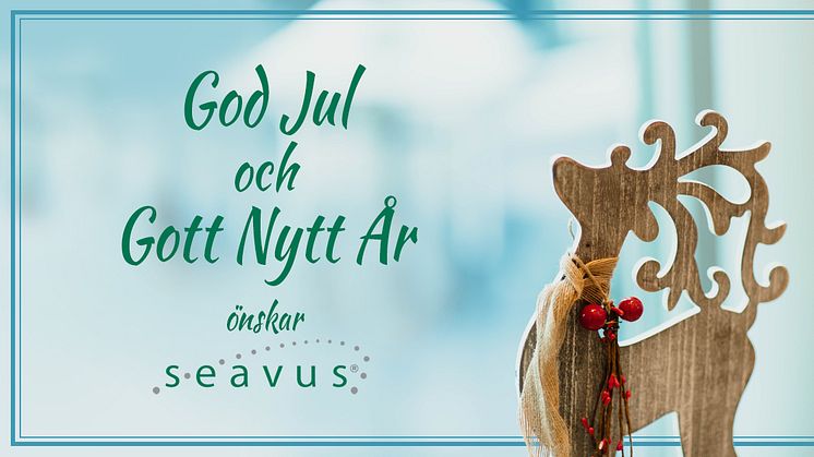 God Jul och Gott Nytt År önskar Seavus