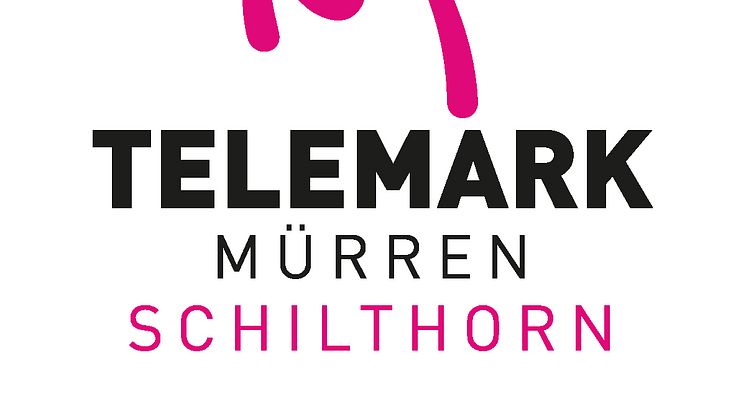 Logo Telemark WM
