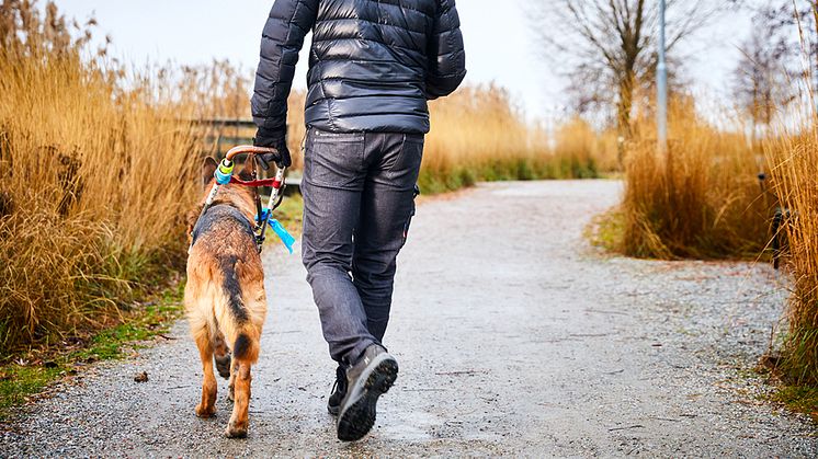Riksdagen har beslutat om en ny lag för ledarhundsverksamheten