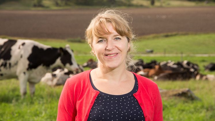 Svenskt Sigills hållbarhetschef Helena Allard berättar hur jordbruksmark kan bidra till att minska klimatkrisen
