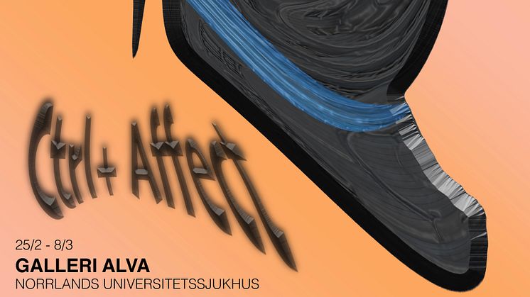Ny utställning på Galleri Alva: ”Ctrl+ Affect”