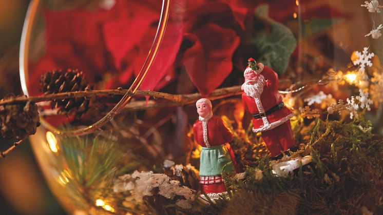 Att skapa miniatyrlandskap med julstjärnor är roligt både för små och stora.