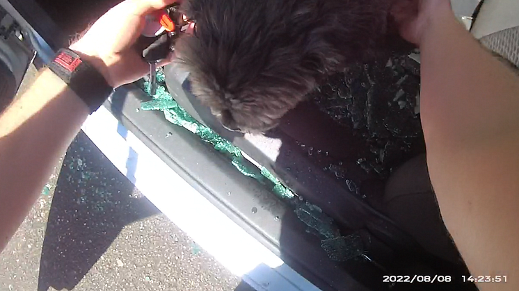 Cops smash window to save dog from sweltering hot car