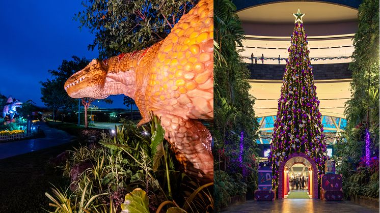 Changi Festive Village ushers in year-end cheer at Changi Airport with life-sized moving dinosaurs, spectacular light-ups, and Jewel’s magical 16- metre-tall Christmas tree and snowfall.
