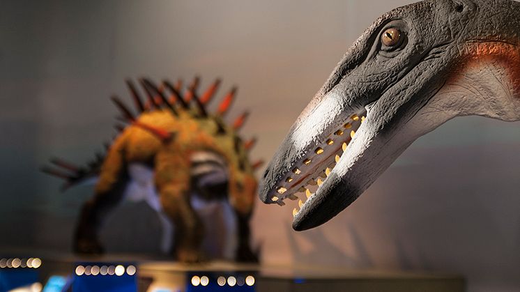 Fler dinosaurier till Naturhistoriska riksmuseet