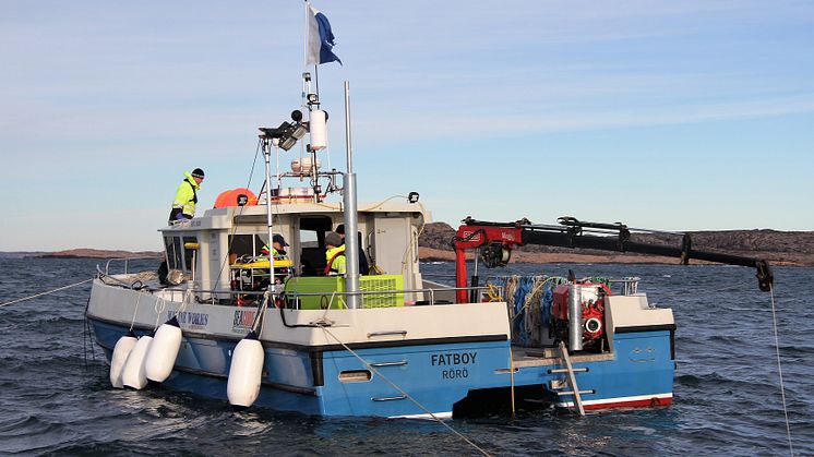 Saneringen av miljöfarliga vrak inleds: Nu töms fiskefartyget Thetis på olja