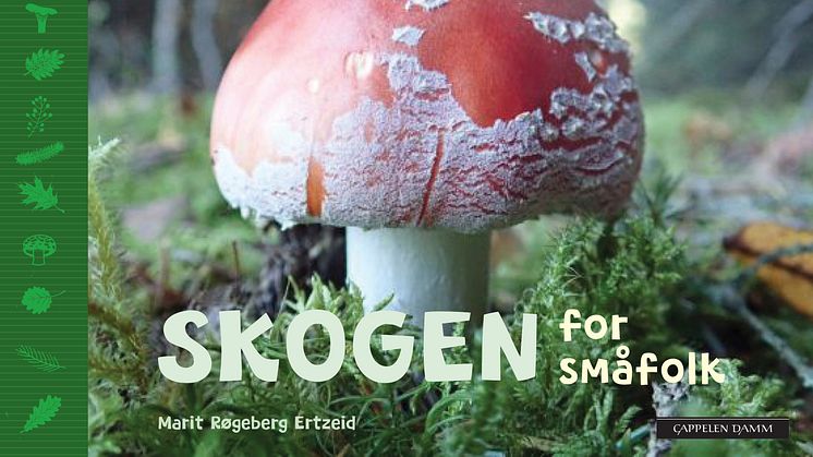 "Skogen for småfolk" er er den fjerde boken i Marit Røgeberg Ertzeids serie med naturhåndbøker for de yngste.