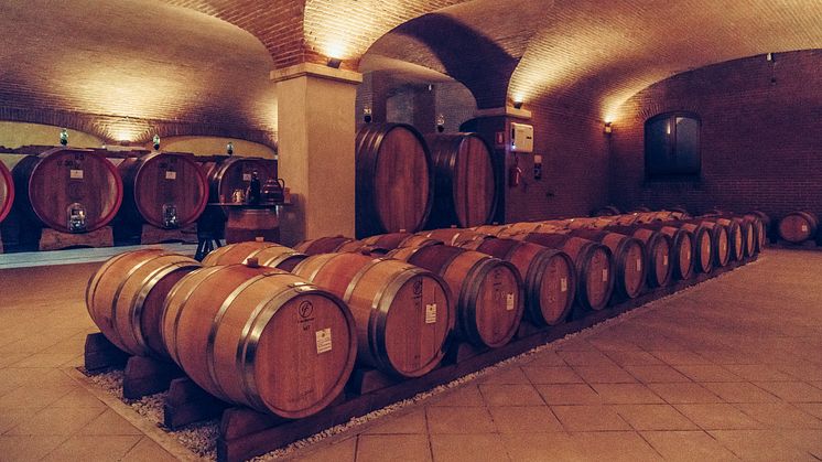 wine_cellar_Valentina_Cubi_oak_barrels