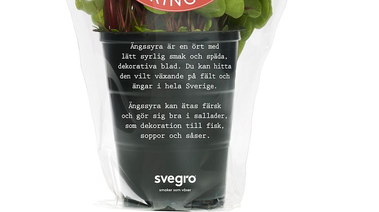 Svegro Vilda Smaker - ekologisk röd ängssyra