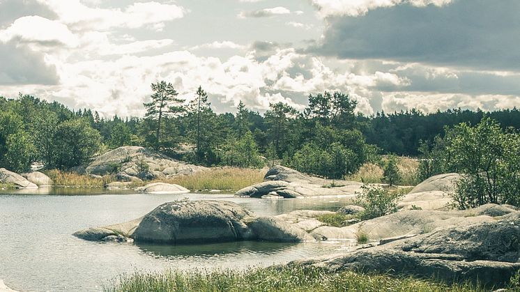 HaV ger 4,2 miljoner till miljöprojekt i kustvatten i Blekinge, Östergötland och Skåne
