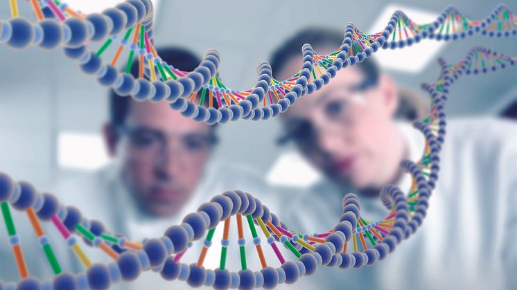 DNA-spiral