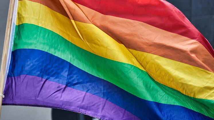 Kommunstyrelsens arbetsutskott har beslutat att Hässleholms kommun ska flagga med regnbågsflaggan utanför Stadshuset under Prideveckan från den 30 maj till den 5 juni. Foto: Pixabay