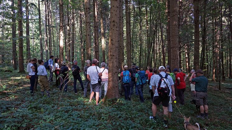 Auf den Spuren des Klimawandels und 150 Jahren Forstgeschichte im Metzinger Stadtwald