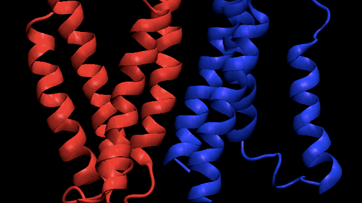  Kunskap om membranproteiner viktigt för läkemedelsutveckling 