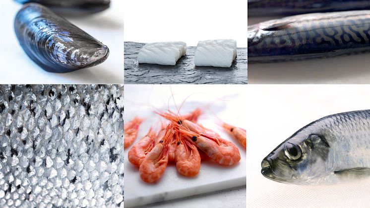 Norwegian seafood exports grow by 13% in May