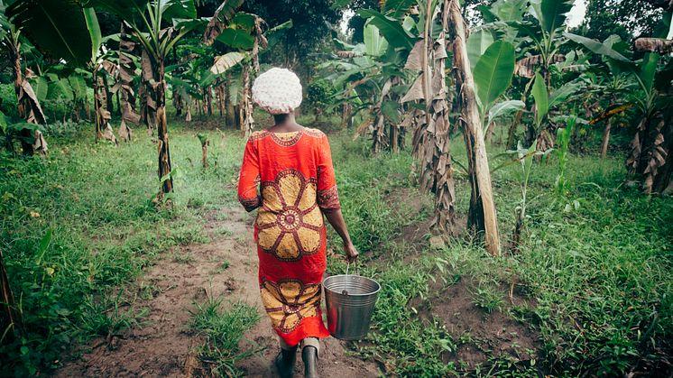 Kvinnor tar sina familjer ur hunger och fattigdom, bara de får möjlighet. Foto: Martin Kharumwa