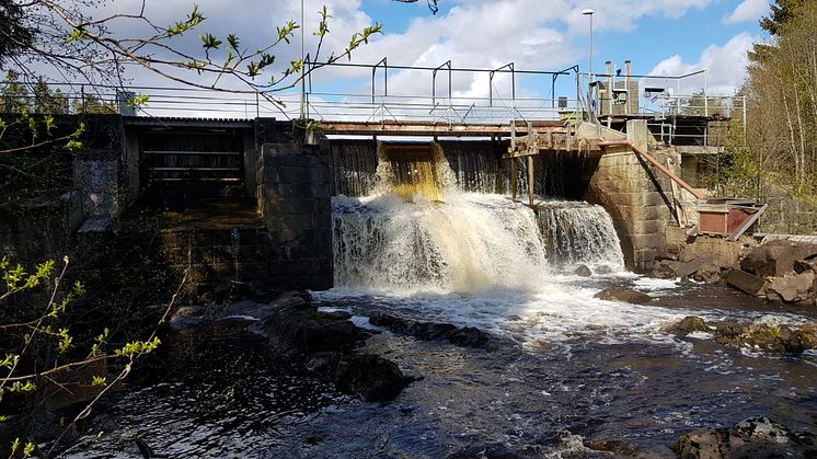 Milsbrodammen är en av de två kraftverksdammarna som ska rivas för att återställa den ekologiska statusen i Gnarpsån. Foto: Katarina Lindström.
