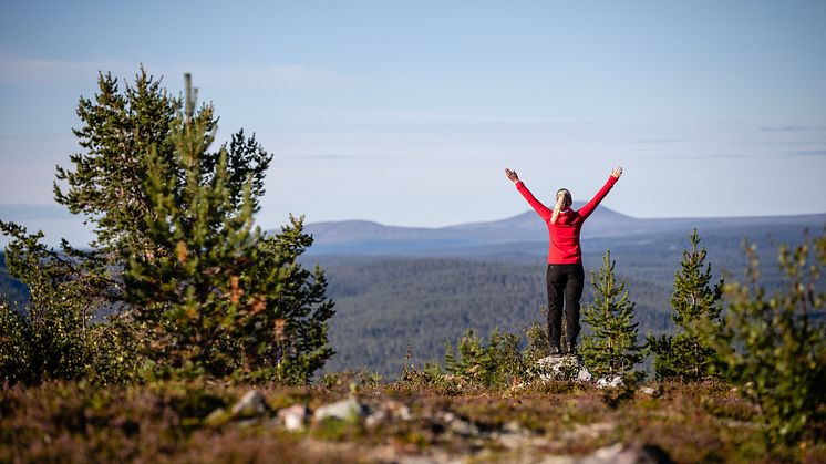 Destination Lofsdalen och projekt Vision Lofsdalen nominerade till Årets Turismföretagare 2020