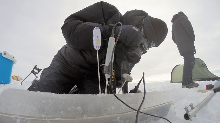 Måling av temperatur i is på Grønland