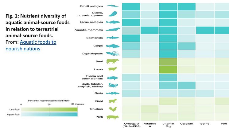 Farming of seafood has enormous potential for increasing healthy food production with little carbon footprint