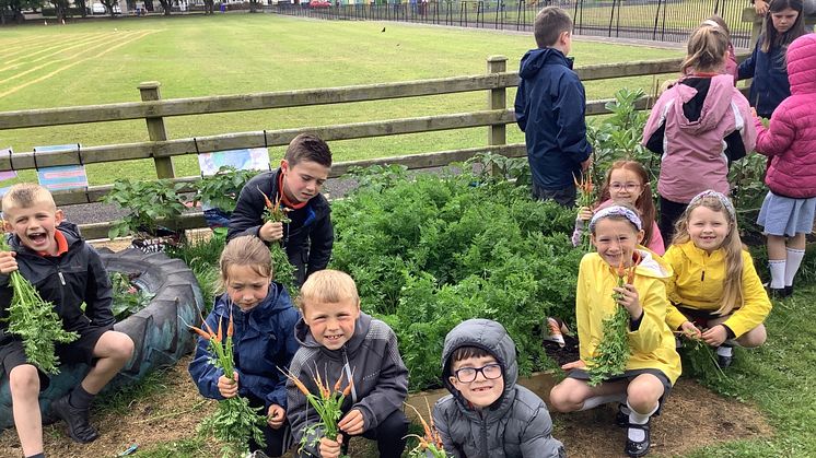 Pupils from Lynn Primary School taking part in the ever popular Schools Growing Club initiative. 