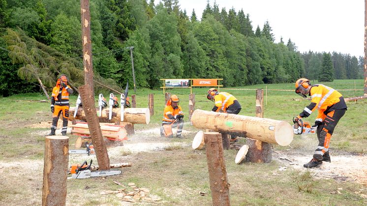 The sawdust flies and the jokes come thick and fast when Champs of Logging do their safety shows at Elmia Wood. Photo: Elmia AB