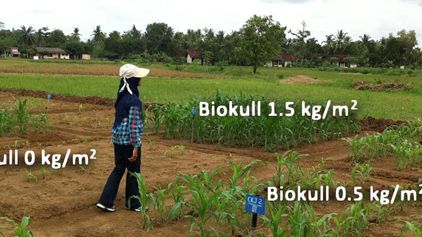 Biokull forbedrer avlinger og gir klimafordeler