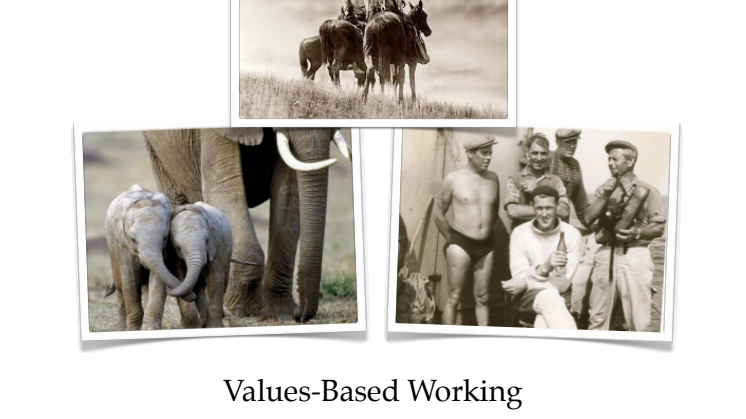 Leventa´s e-book - Values-Based working