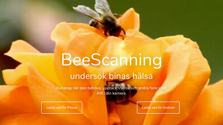 ​Nya framgångar för Björn Lagermans BeeScanning