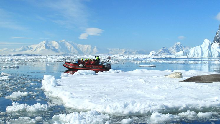 Expedition with Hurtigrutens Polar Circle Boat in Antarctica