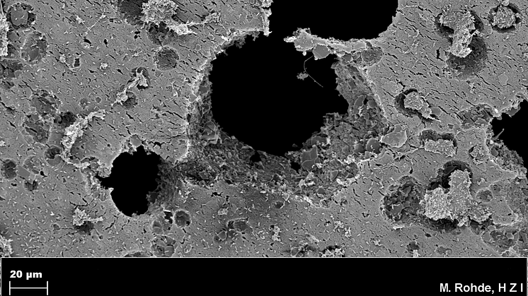 Elektronenmikroskopische Aufnahme von durch bakteriellem Abbau entstandenen Löchern (schwarz) im Plastik Quelle: HZI/Rohde