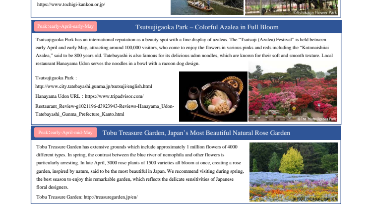 - Ideal Day Trip from Tokyo -  Leave Your Worries Behind with the Spectacular Displays of Spring Flowers