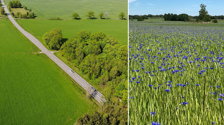 Ett kunskapsunderlag om värdering av jordbruksmark som Calluna har arbetat med har nominerats till Planpriset 2023. Foton: Håkan Sandsten och Elin Jonsson.