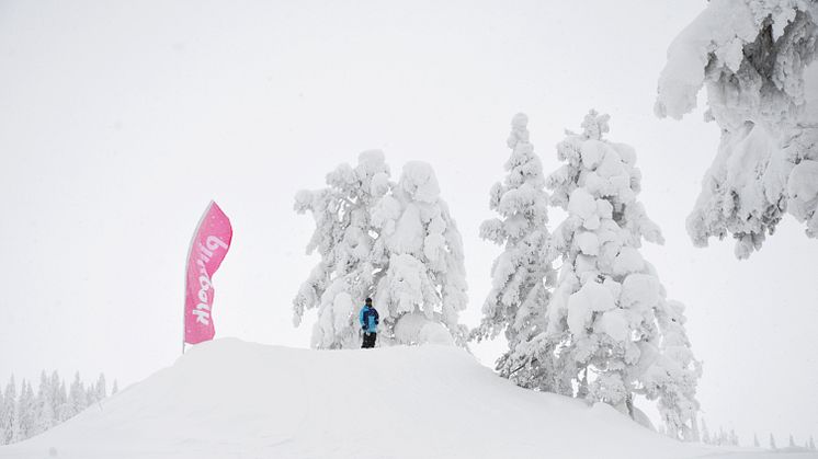 SkiStar Sälen: Alla parker öppna till sportloven