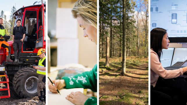 Nu startar ett nytt samarbete i Västra Götaland för att utveckla framtidens användning av skogens resurser. Fotograf/Källa: Kollage VGR