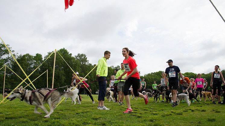 Hundlöpet - Sveriges hundvänligaste motionslopp