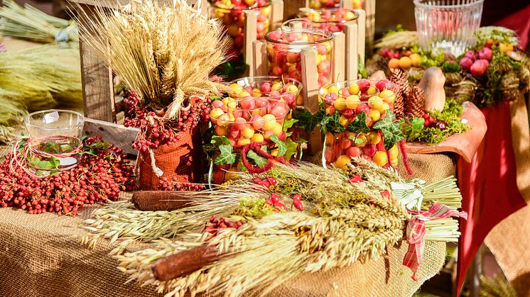 Der Bauern- und Regionalmarkt bringt vom 06.-08. Oktober herbstliches Flair in die Kieler Innenstadt