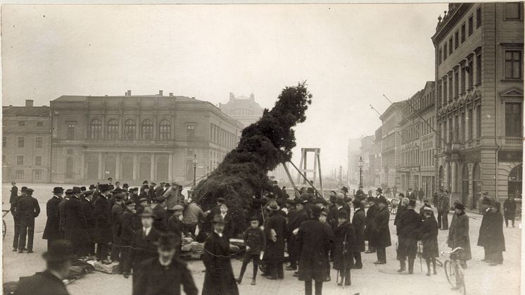Hundraårig tradition. Stadens gran reses vid Gustav Adolfs torg vintern 1920. Till vänster syns Börsen. Fotografi: Göteborgs stadsmuseum
