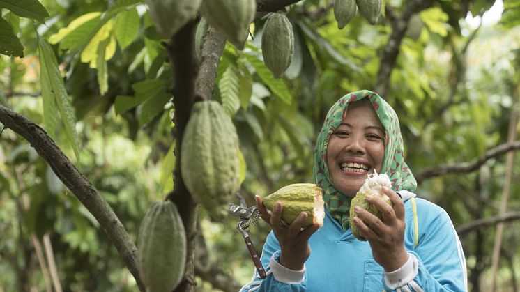 Mondelēz ha rilanciato il programma Cocoa Life: investimenti totali per 1 miliardo di dollari entro il 2030 e un appello per azioni collettive a sostegno della filiera del cacao