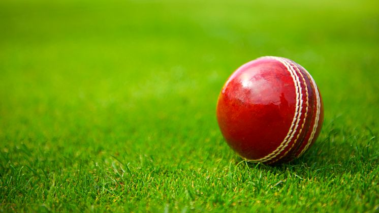 Cricket Discipline Commission announces decision on Ollie Robinson