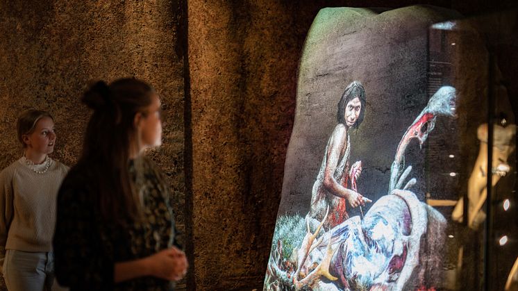 Bliv klogere på din nærmeste uddøde slægtning: ny særudstilling om neandertalerne åbner på Statens Naturhistoriske Museum fredag d. 29. april 