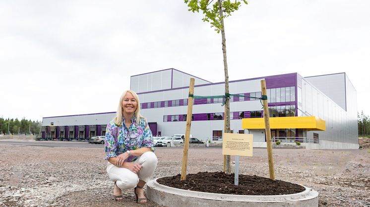 “Instead of cutting a ribbon, we choose to plant a tree, an oak that can grow together with the family and the company. A warm greeting to former and future generations from us in the 3rd, 4th and 5th generation,” says Katherine Löfberg.