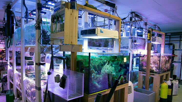 Sjöfartsmuseet Akvariet 